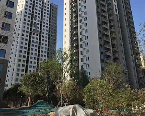 万科蓝山